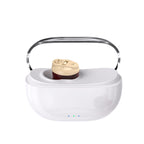 Magnetic Charging Wireless Invisible In-the-Ear Hearing Aid for Elderly Sound Amplifier