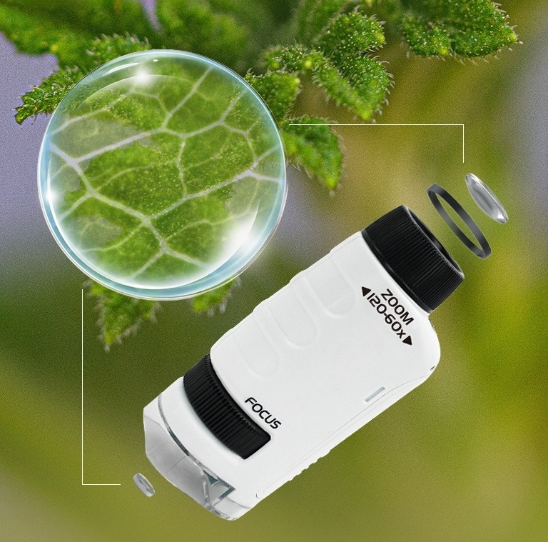 Bacterial microscope primary school student science experiment toy portable children's handheld microscope professional level