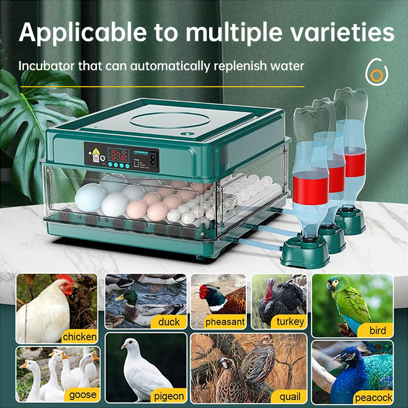 9 - 48 Egg Incubator: Automatic Egg - Turning & Humidity Monitoring. Duck Incubator with Auto - Water Ionic Waterbed