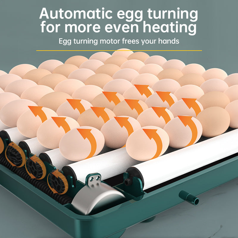 9 - 48 Egg Incubator: Automatic Egg - Turning & Humidity Monitoring. Duck Incubator with Auto - Water Ionic Waterbed